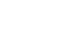 Summit Chiropractic and Wellness Center LLC White Logo